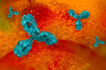 Monoclonal antibody orange, red background 3d rendering