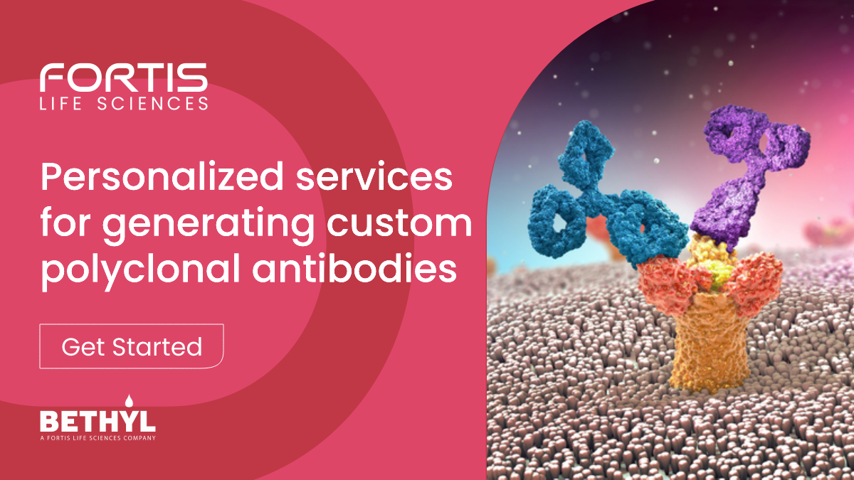 Custom Polyclonal Antibodies Fortis Life Sciences