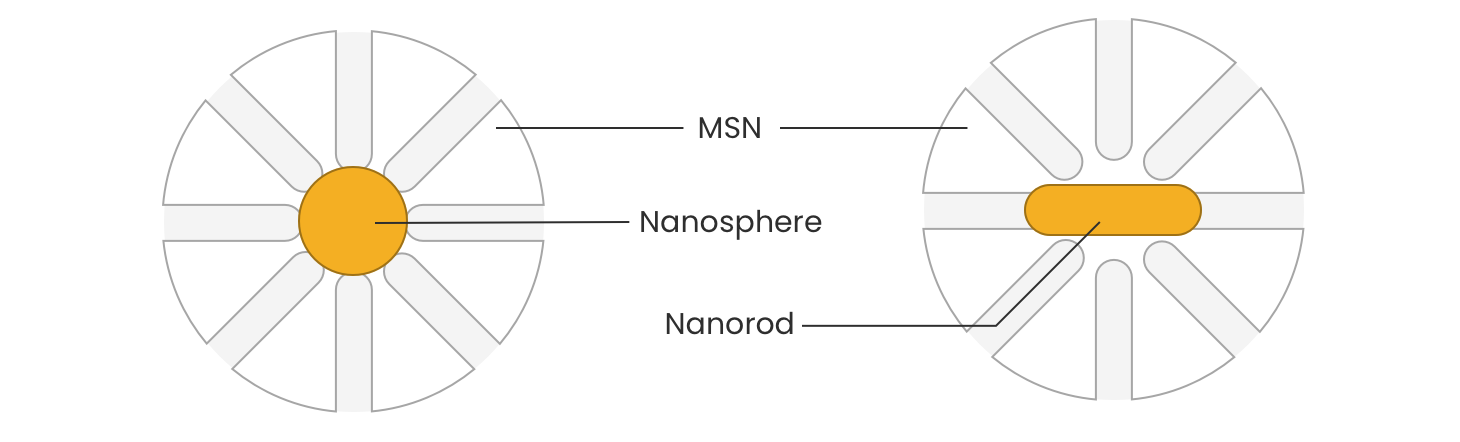examples of MSN with different particle morphologies
