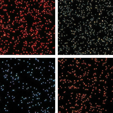 Gold Nanoshells observed using dark field microscopy
