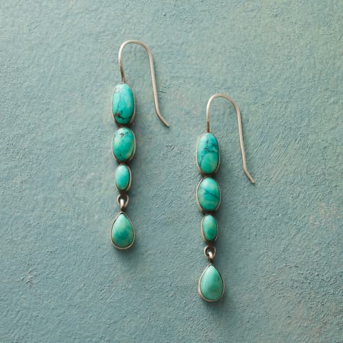 Captivating Turquoise Earrings View 1