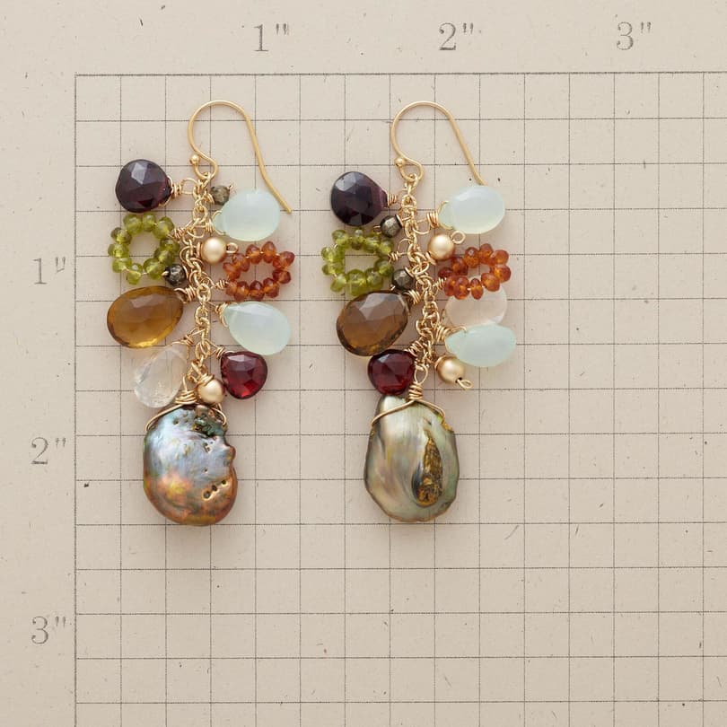 ROYAL RANSOM EARRINGS view 1