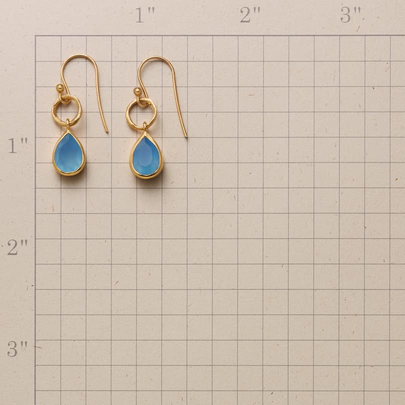 BLEU VUE EARRINGS view 1