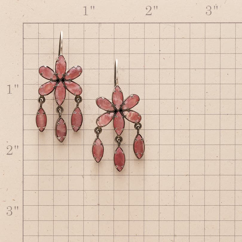 PETAL TO THE METAL EARRINGS view 1