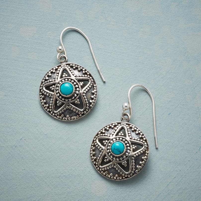 SUPERSTAR TURQUOISE EARRINGS view 1