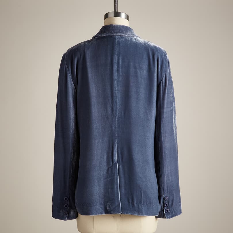 BEAU VELVET BLAZER - PETITES view 2