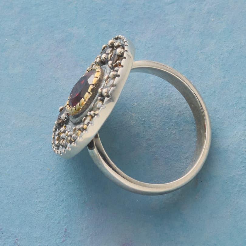 Natural Light Ring View 2