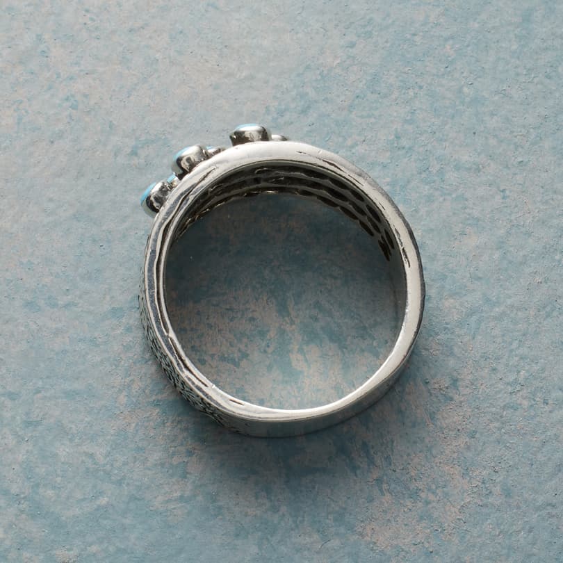 Array Of Turquoise Ring View 2