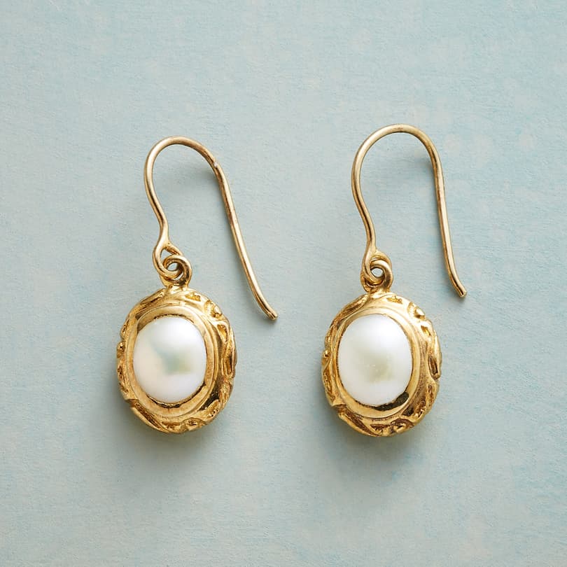 PRECIOUS NESTLE EARRINGS view 1