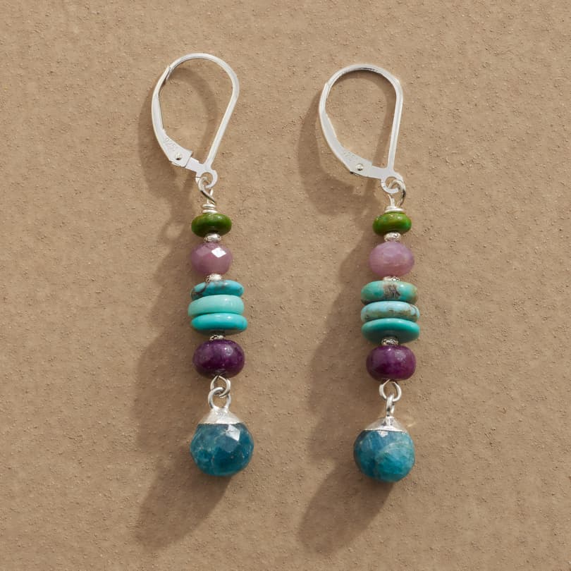 Bluestone Earrings View 1