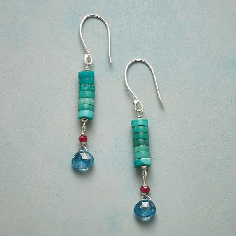 LA JOLLA COVE EARRINGS view 1
