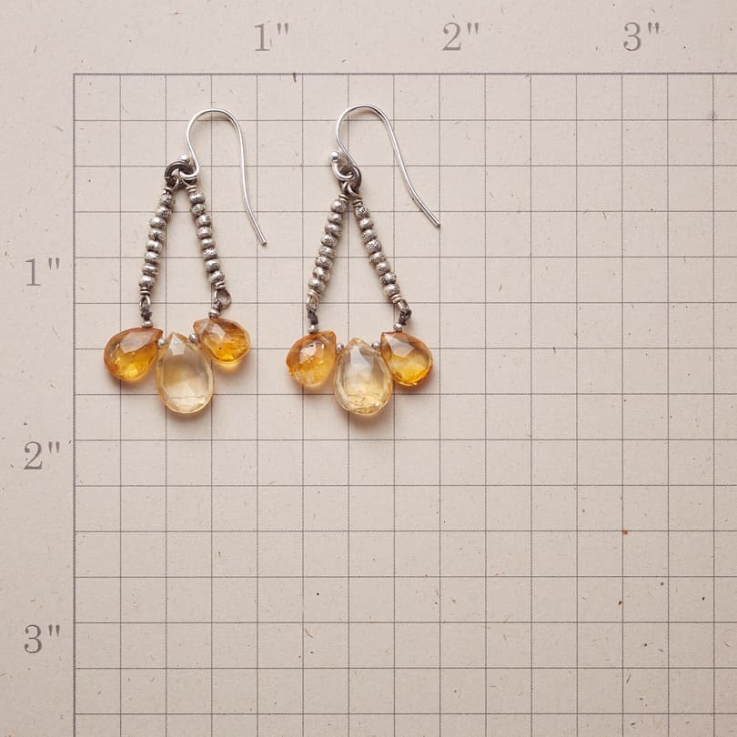 SUBDUED SHINE EARRINGS view 1