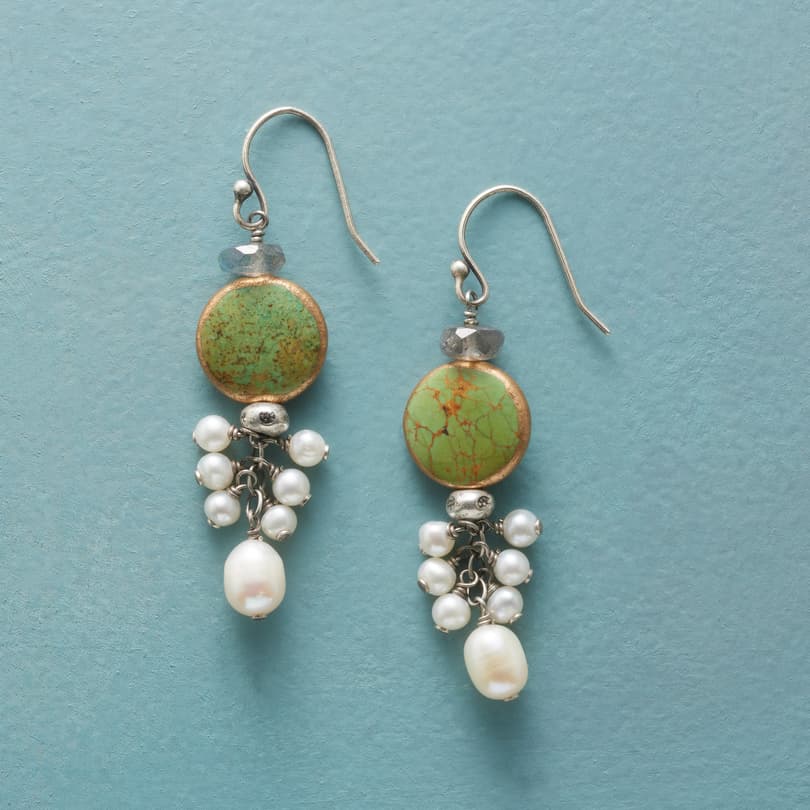 Island Cascade Earrings View 1