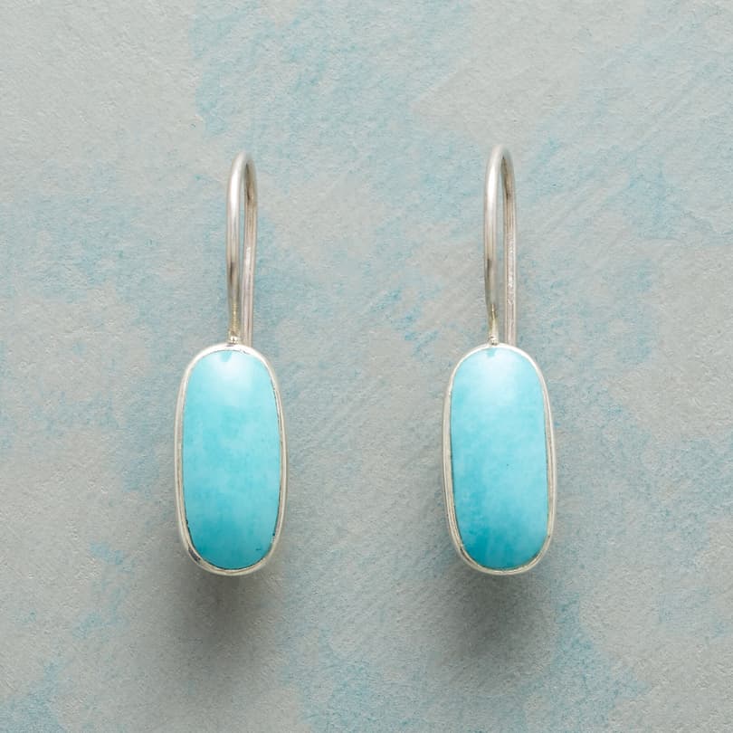 SWAYED BY TURQUOISE EARRINGS view 1