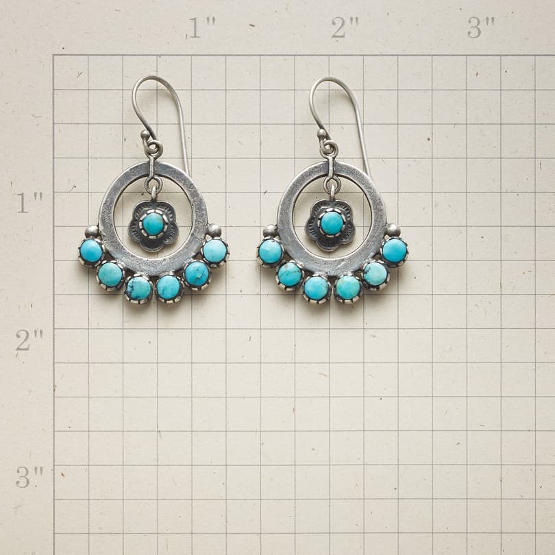 SPLENDOR IN THE SOUTHWEST EARRINGS view 1