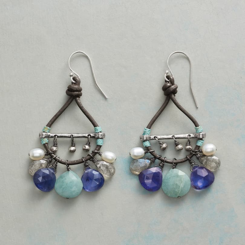 EVENING CONCERTO EARRINGS view 1