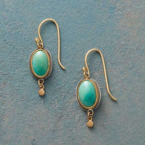 Tick Tock Turquoise Earrings View 1