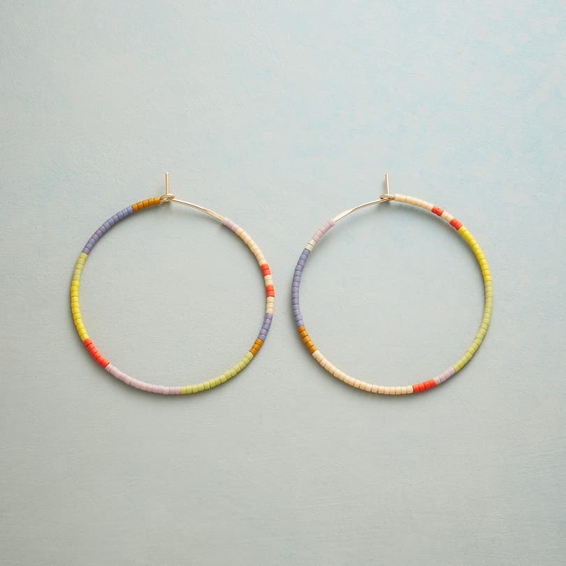COLOR HORIZONS EARRINGS view 1