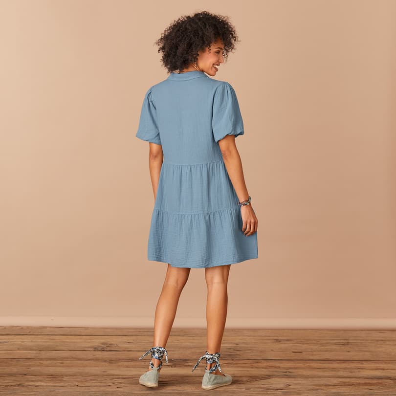 Parker Dress View 2