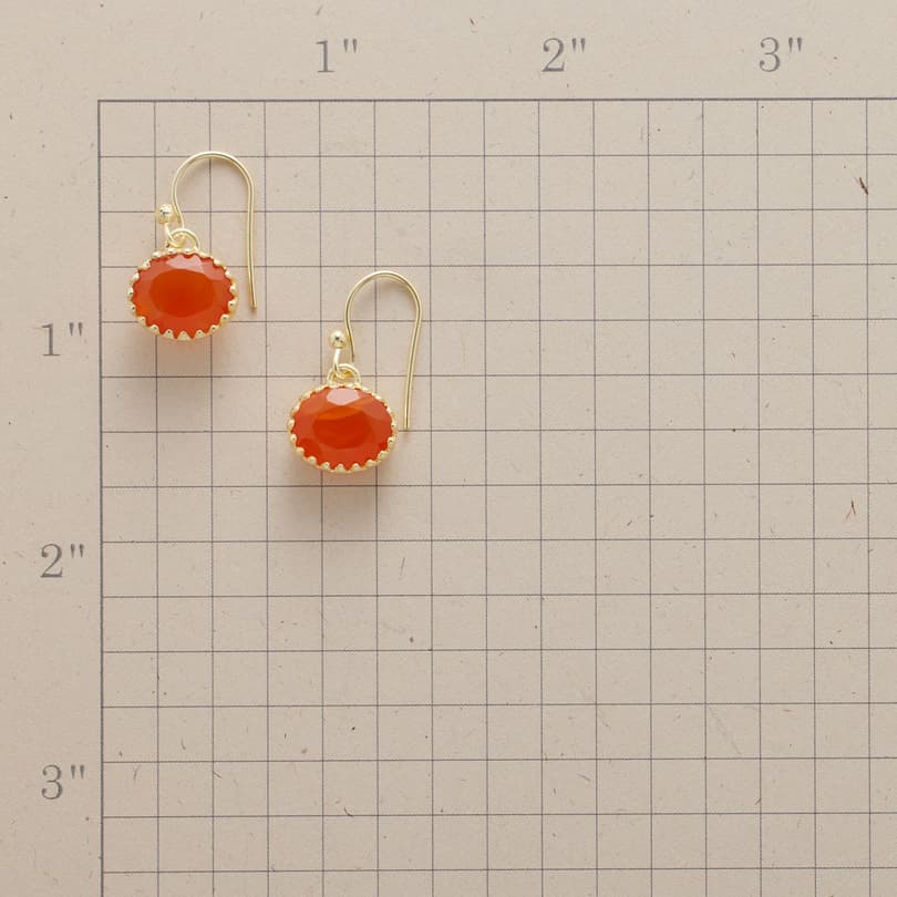 CARNELIAN BLAZE EARRINGS view 1