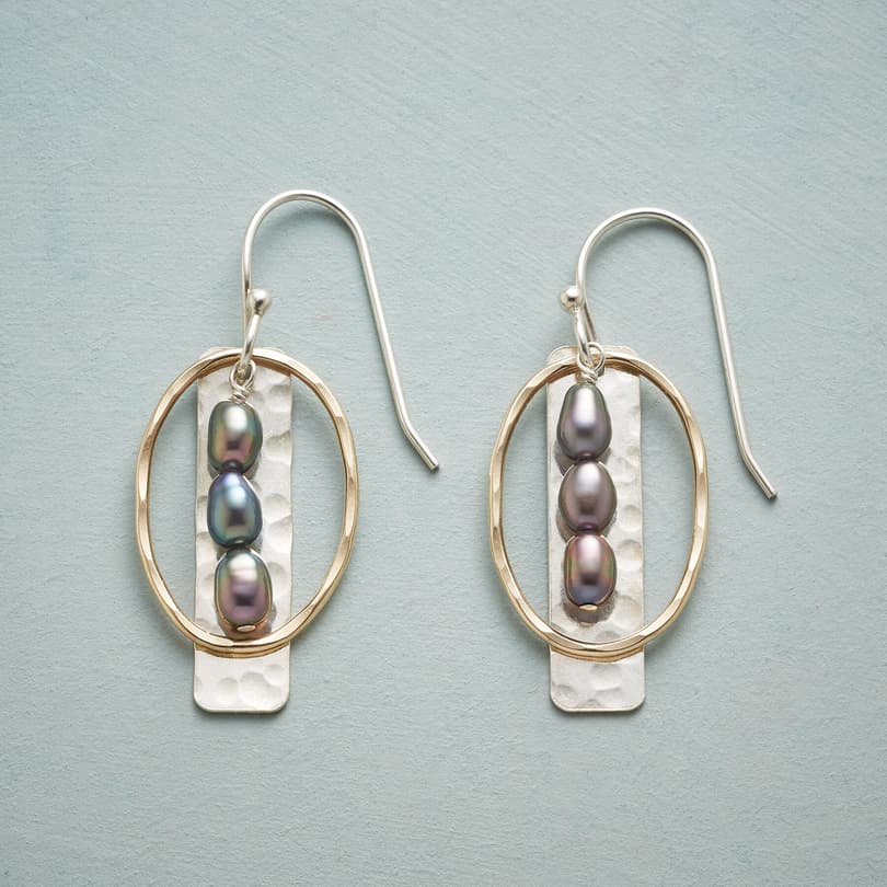 DOWN THE LINE EARRINGS view 1