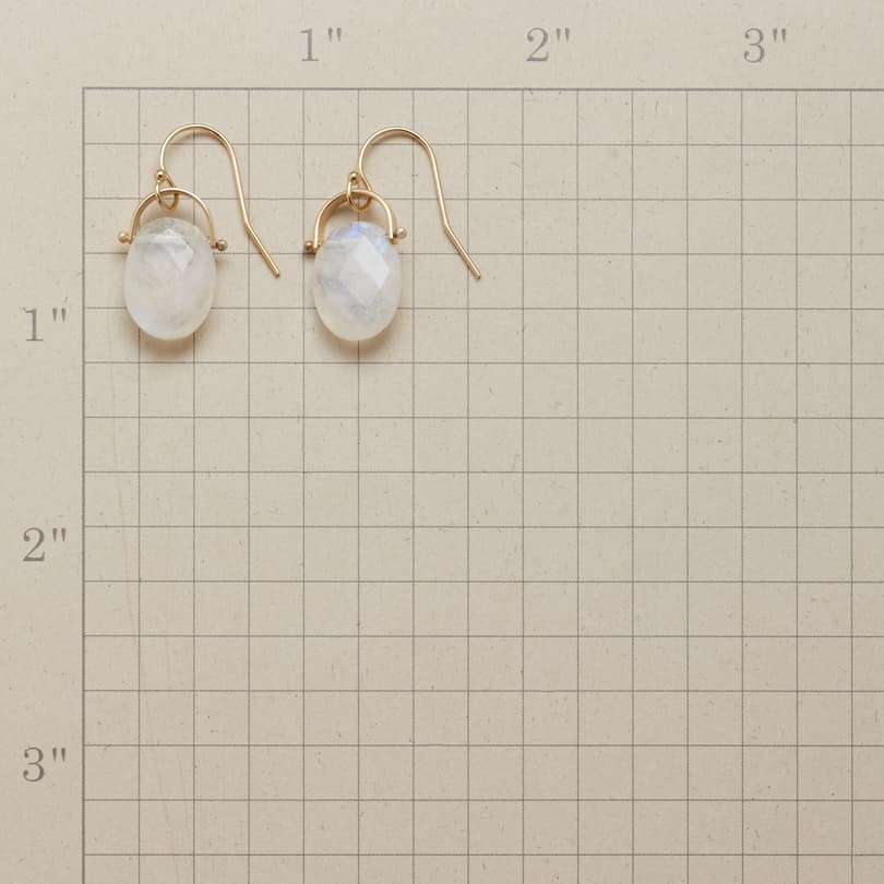 HORSESHOE MOONSTONE EARRINGS view 1