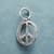 Sterling Silver Peace &amp; Love Charm View 2