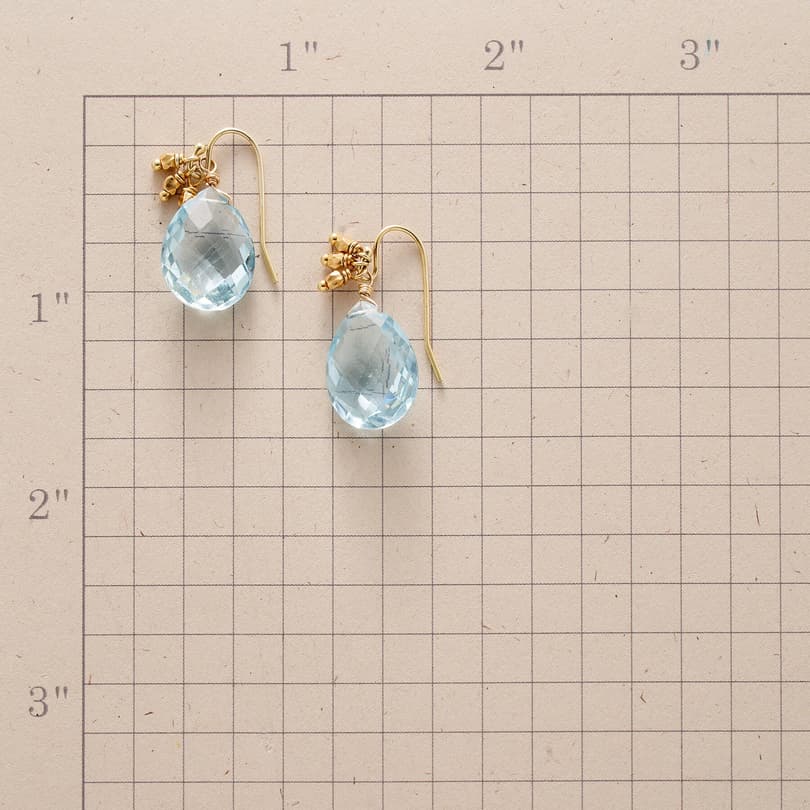 BRIOLETTES IN BLUE EARRINGS view 1