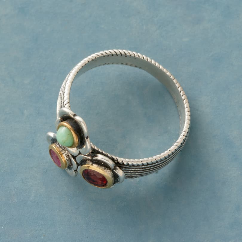 Terzetto Ring View 2