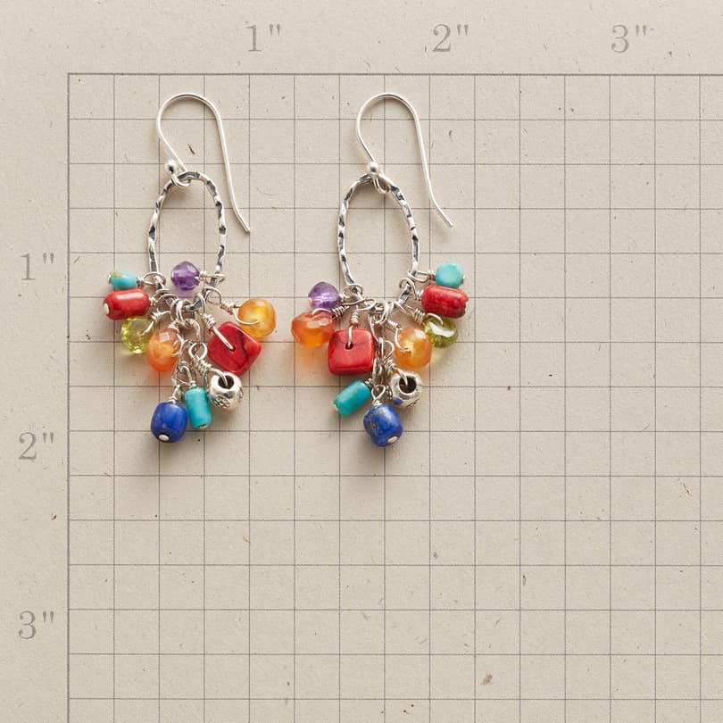 BACK COUNTRY EARRINGS view 1