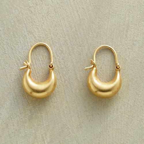 MINIMAX HOOP EARRINGS view 1