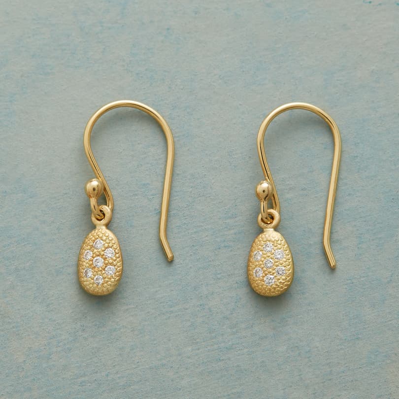 BRILLIANCE EARRINGS view 1