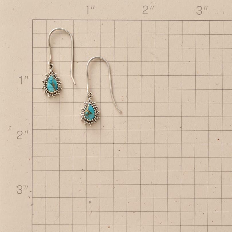 Stellar Turquoise Earrings View 2