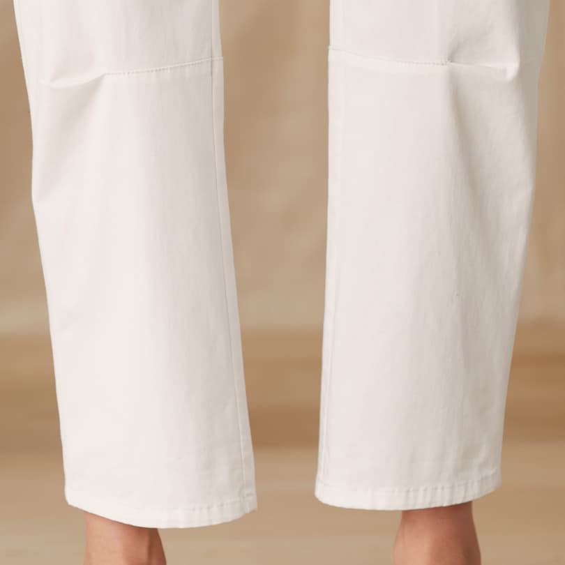 Decla Pants - Petites View 5