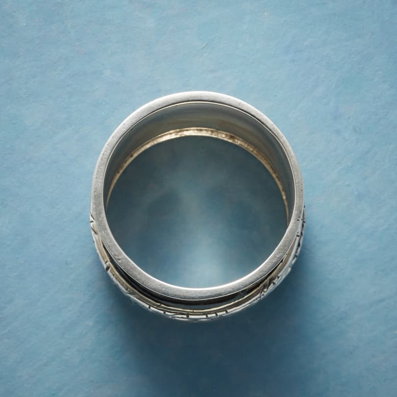 Turnabout Spinner Ring View 2