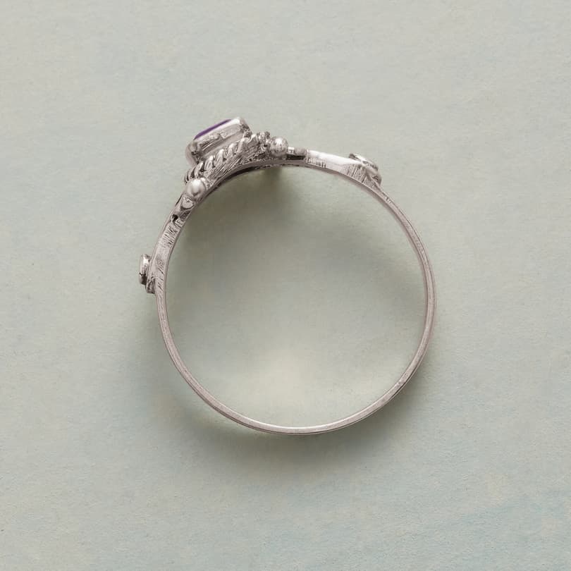 FLOURISHED FRAME RING view 1