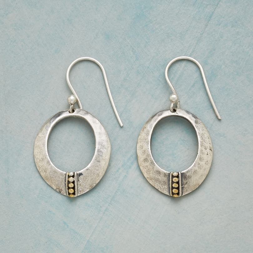 STAY CENTERED EARRINGS view 1