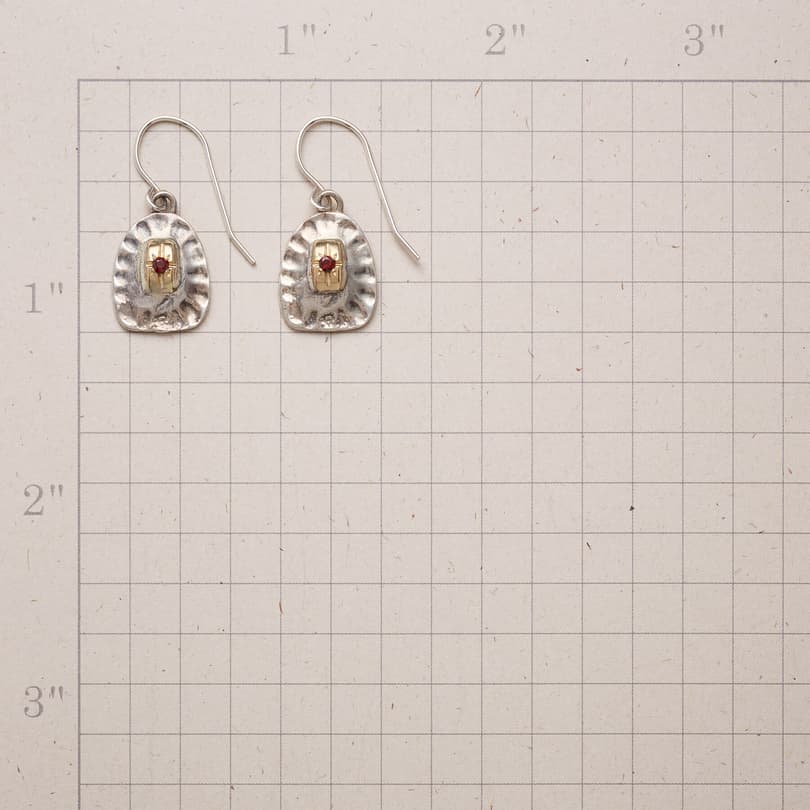 EVER PRESENT EARRINGS view 1