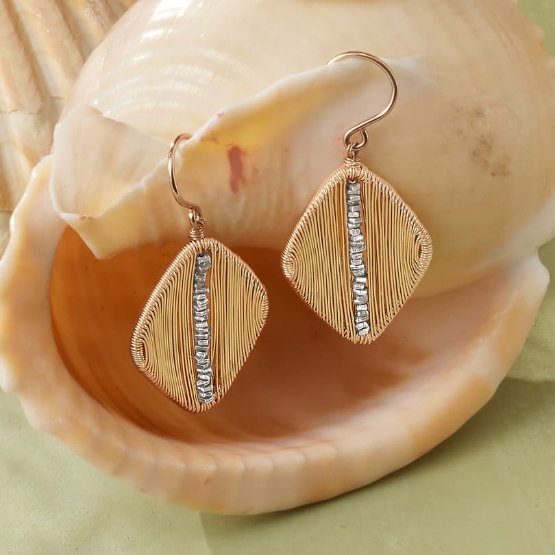 Stay Grounded Earrings View 3