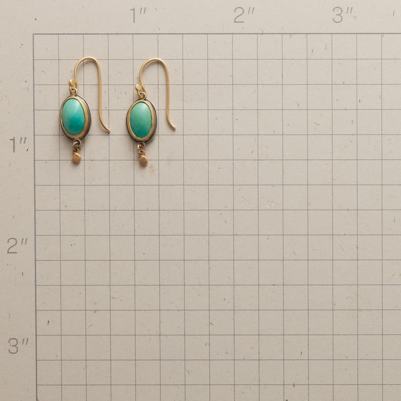Tick Tock Turquoise Earrings View 2