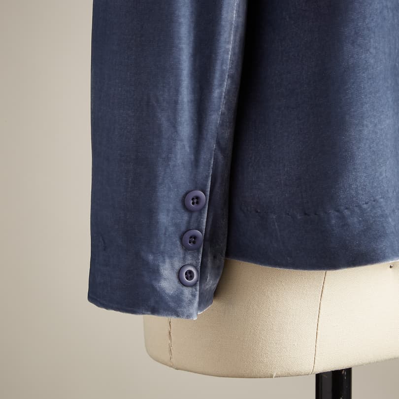 BEAU VELVET BLAZER - PETITES view 3