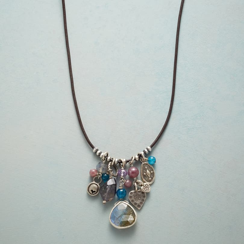 PERFECTLY CHARMED NECKLACE view 1