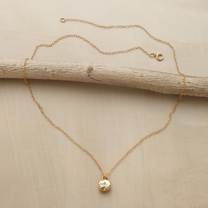 GOLD-FILLED LITTLE BIT NECKLACE view 1