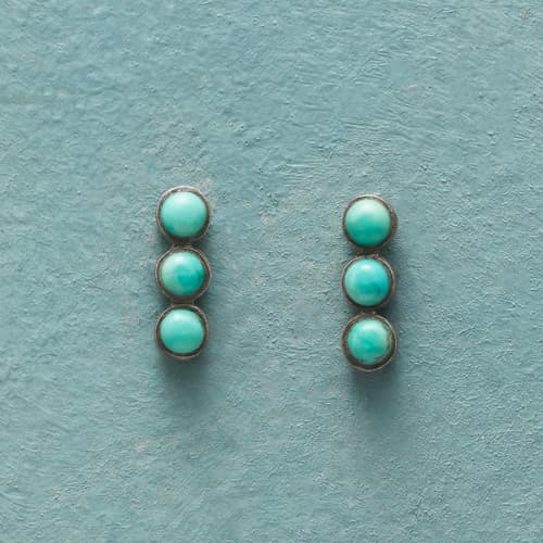 Unpredictable Turquoise Earrings View 1