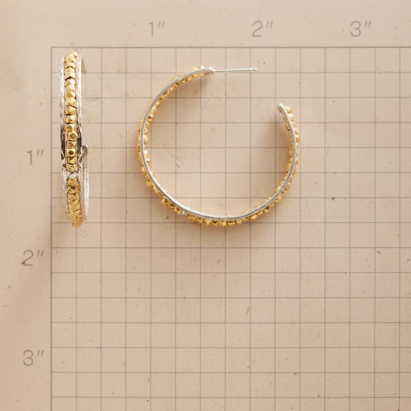 Gold Rush Hoop Earrings View 2