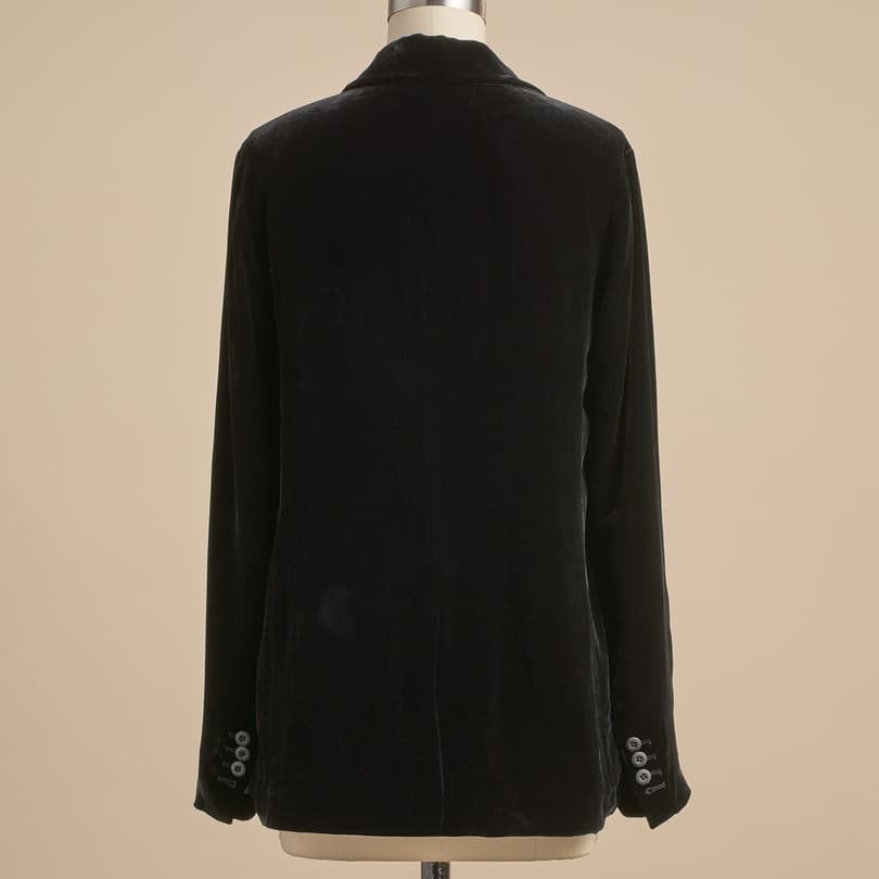 Monte Rosa Velvet Blazer View 8