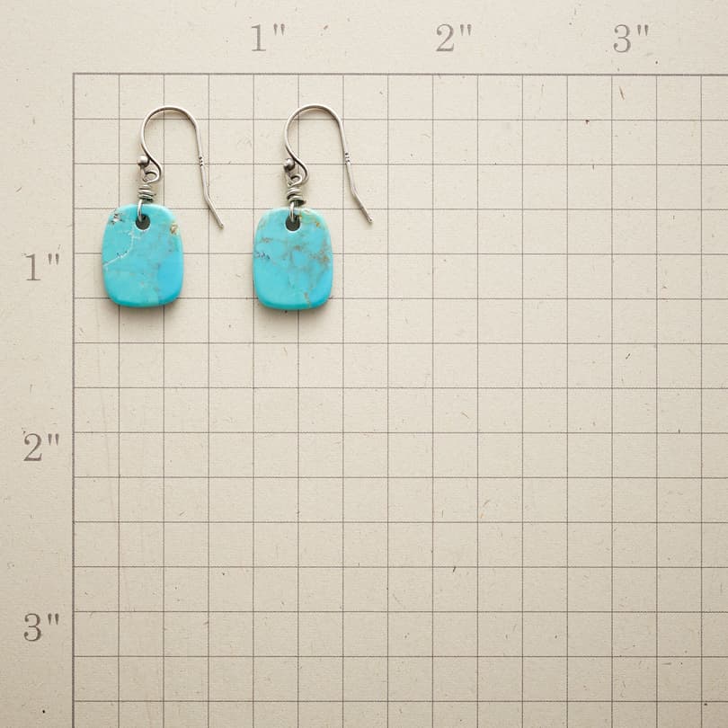 NATURE&#39;S ART TURQUOISE EARRINGS view 1