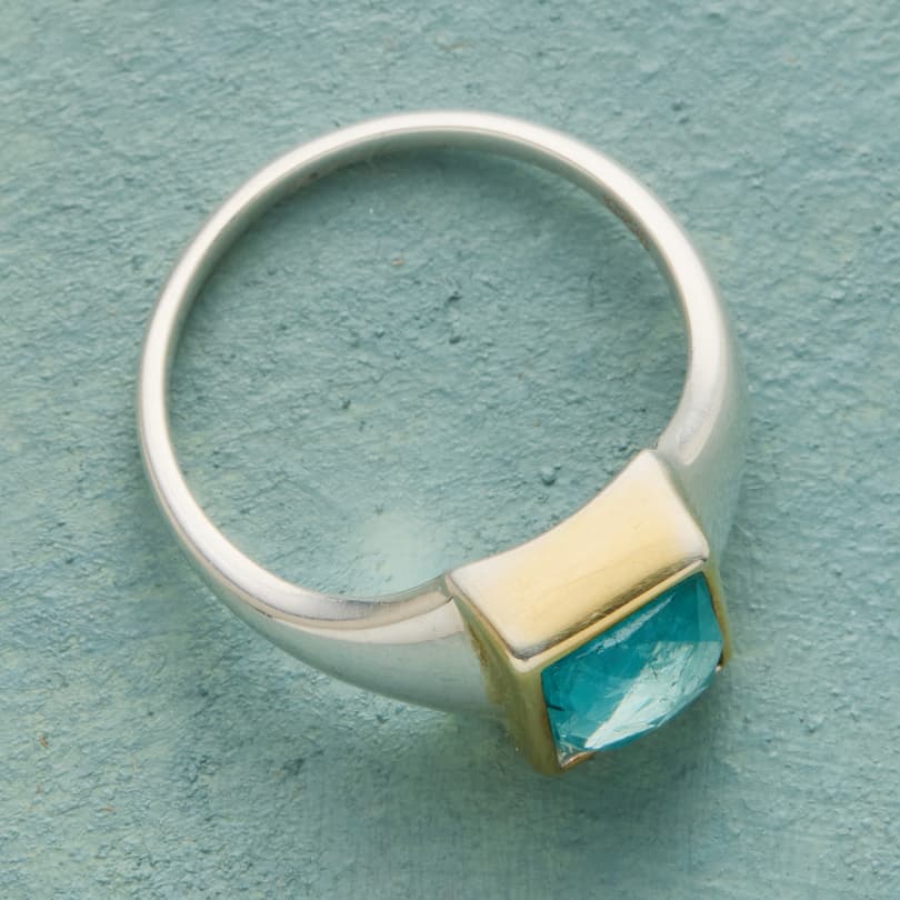 Shapeshifter Ring View 2