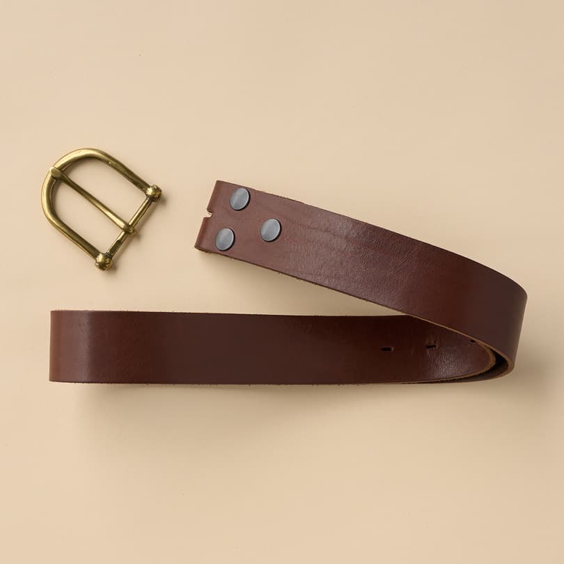 Classic Interchangeable Belt View 6C_BRN