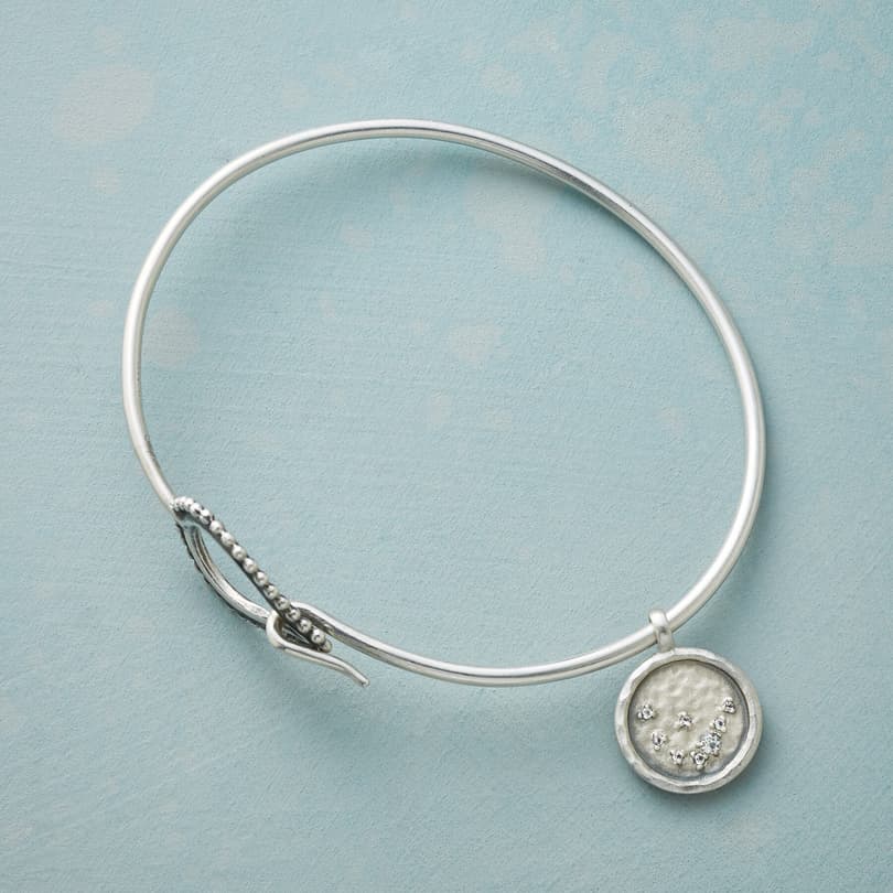 STERLING CHARMED ZODIAC view 1